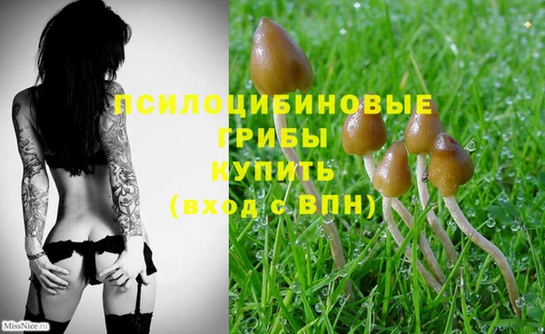 кокс Алексеевка
