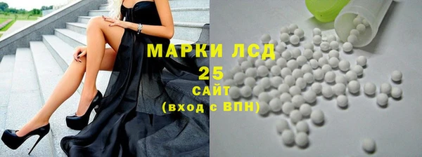 стаф Алзамай