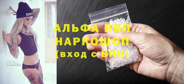 стаф Алзамай