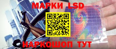 мяу мяу мука Будённовск