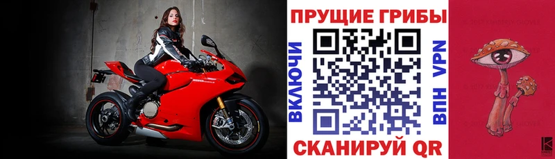 Галлюциногенные грибы Magic Shrooms  где купить   Рубцовск 