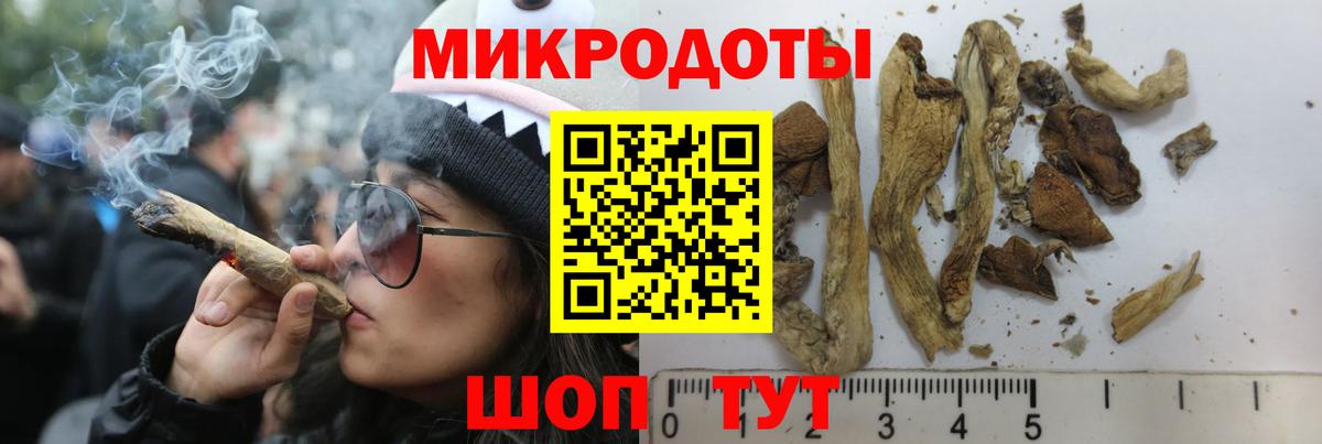 Псилоцибиновые грибы прущие грибы  Вход с VPN  Рубцовск 